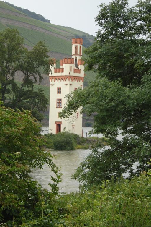 Hotel Gasthof Schuster Und Gaestehaus Рюдесхайм-на-Рейне Экстерьер фото